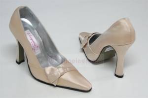 champagne special type shoes