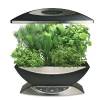 AeroGarden 900340-1200 6 Elite with Gourmet Herb Seed Kit, Black with Stain