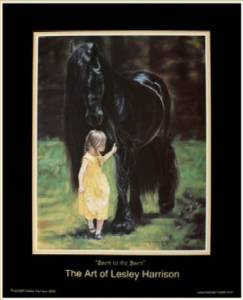 friesian poster