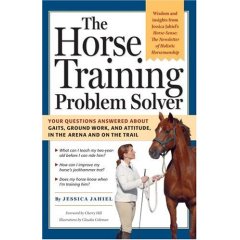 The Horse Training Problem Solver