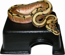 Reptile Basics Small Hide Box