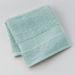 Wash cloth