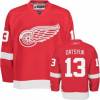 Pavel Datsyuk Jersey