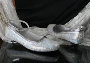 Silver flash power low heel shoes