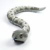 Animal Planet Radio Controlled Rattle Snake - Toys R Us - Toys 