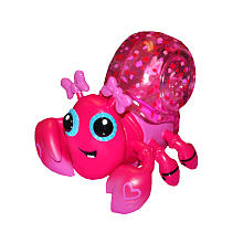 Xia-Xia Hermit Crabs - Turks Crab