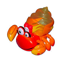 Xia-Xia Hermit Crabs - Trinidad Crab