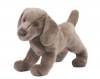 ******** RESERVED *********** Weimaraner Stuffed Animal