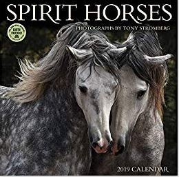 2019 Horse Calendar