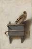 The Goldfinch print