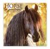 Horse: A Portrait 2021 Wall Calendar