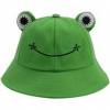 frog hat (smallest size)