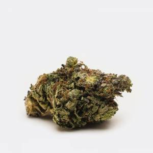 Purple OG (AA)| Chronic Store | Free Deals