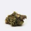 Purple OG (AA)| Chronic Store | Free Deals