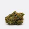Alien OG (AA) | Chronic Store