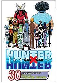 Hunter x Hunter, Vol. 30 