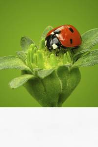 Eco-Friendly EcoStick Wall Graphic | Power Graphics