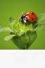 Eco-Friendly EcoStick Wall Graphic | Power Graphics