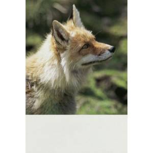 Long-Lasting 3M Floor Decal | Power Graphics