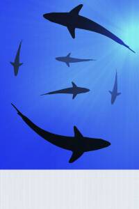 Super Smooth Corrugated Plastic Panels for Outdoor Banner Stand Graphics