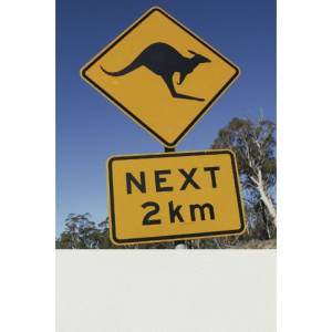 Repositionable Floor Decals | Flexible, Scuff-Resistant Indoor Signage