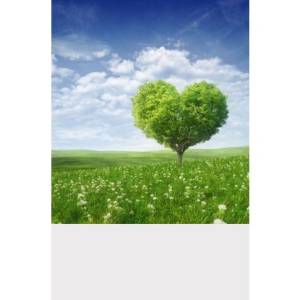 Double-Sided Window Graphics | Power Graphics