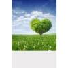 Double-Sided Window Graphics | Power Graphics