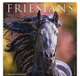 Friesians 2022 Wall Calendar