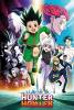 hunter x hunter poster