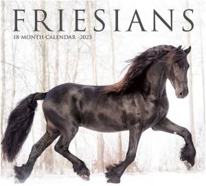 Friesians 2023 Wall Calendar