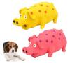 Grunting Pig Dog Toys, 2 Pack
