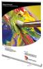 Budget Roll-Up Banner Stand For Cost-Effective Marketing