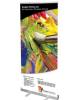 The Budget Roll Up 36 | Affordable and Reliable Retractable Banner Stand