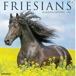 Amazon.com: Willow Creek Press Friesians Monthly 2025 Wall Calendar