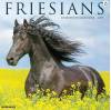 Amazon.com: Willow Creek Press Friesians Monthly 2025 Wall Calendar