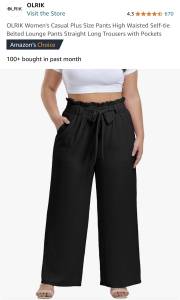Dress pants