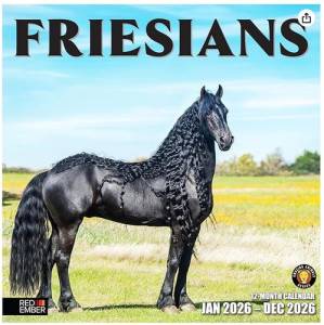 Friesians 2026 Wall Calendar 12 Month 
