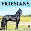 Friesians 2026 Wall Calendar 12 Month 